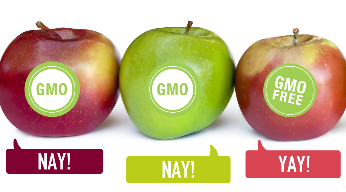 gmo-foods-vs-organic